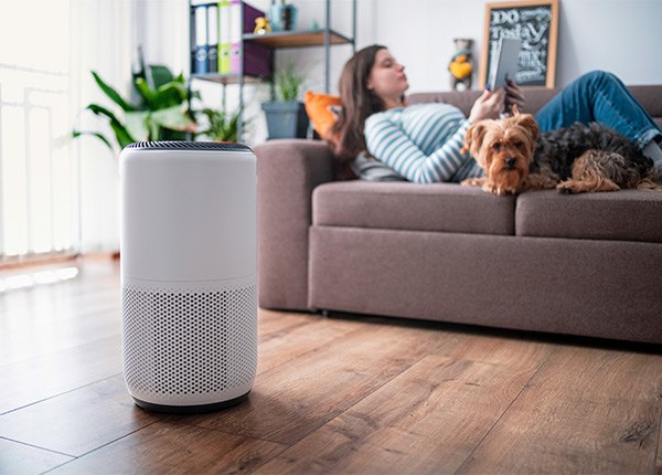 lady relaxing with her dog in front of air purifier