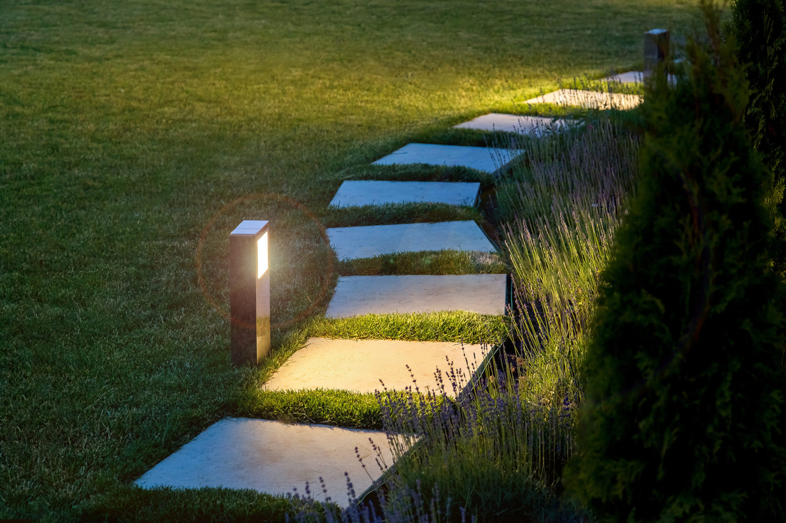 Concrete pathway in yard with lighting
